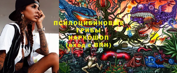 бошки Пролетарск