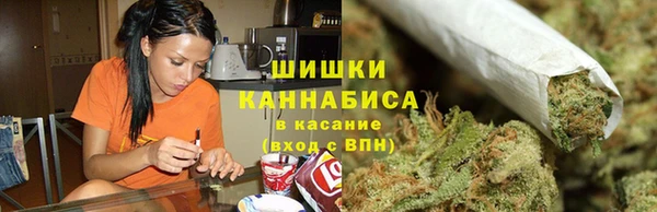 сатива Арсеньев