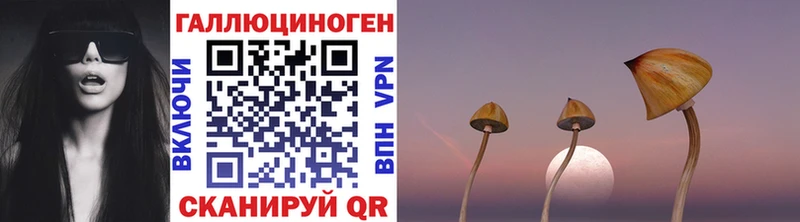 Псилоцибиновые грибы мицелий  цены   Озёрск 